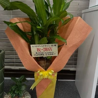 画像256